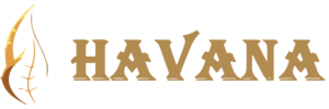 Havana Gıda 