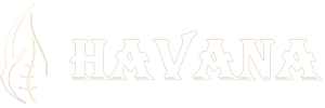 Havana Gıda 